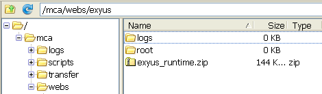 ftp-exyus-runtime-to-server